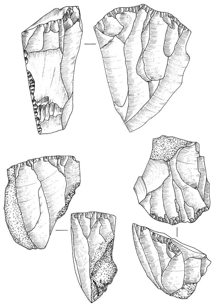 Ryc. 12. Bolków 1, wykop II, krzemienice 1 i 2. Rdzenie. Rys. T. Galiński Fig.