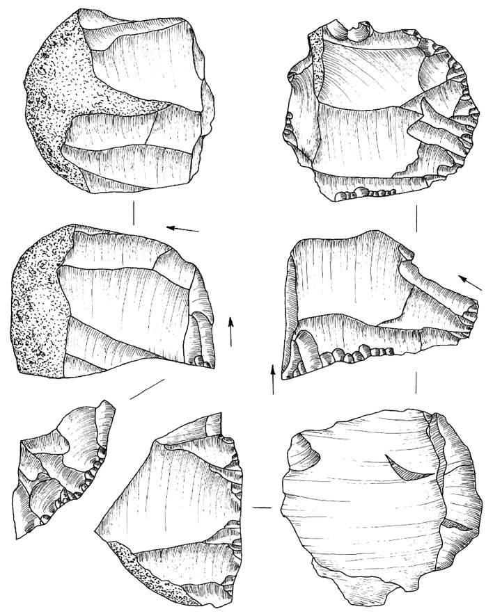 Ryc. 28. Bolków 1, wykop III, krzemienica 3. Rdzenie. Rys. T. Galiński Fig.