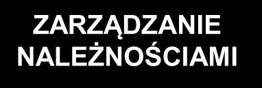 t ZARZĄDZANIE ZOBOWIĄZANIAMI