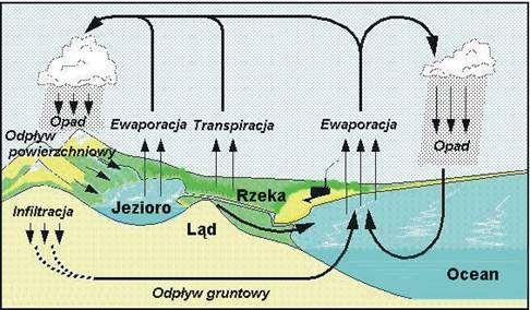 powierzchniowa zależy od rzeźby terenu, rodzaju gruntu, sposobu uprawy, szaty roślinnej, pory roku.
