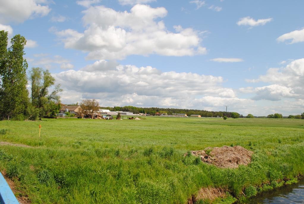 4767, 6650 ha, w tym: Neużytk 8ha, Drog 40 ha, Lasy 651 ha, Rolne 551ha, Łąk 164ha, Pastwska