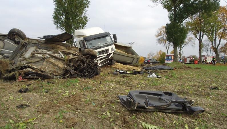 medycznej osobom poszkodowanym, prowadzeniu resuscytacji wraz z Zespołami Ratownictwa Medycznego oraz zabezpieczeniu lądowiska dla Lotniczego Pogotowia Ratunkowego, które zabrało jedną z osób