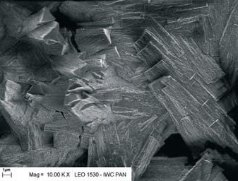 SEM picture of the catalytic active surface of catalyst with platinum content1g for dm 3 catalyst with platinum content1,5g for dm 3 Rys. 3. Obraz SEM powierzchni aktywnej reaktora Rys. 4.