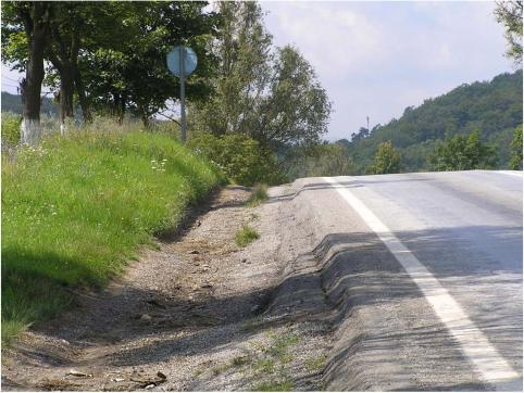 Dyrektywa Parlamentu Europejskiego i Rady 2008/96/WE z dnia19 listopada 2008 r.