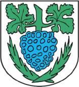 Program rewitalizacji dla Gminy i Miasta Jastrowie na lata 2017-2023 PROJEKT Opracowany