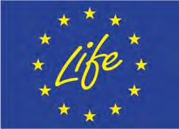 I N S T Y T U T B A D A W C Z Y L E Ś N I C T W A Further Development and Implementation of an EU-level Forest Monitoring System (FutMon) Dalszy rozwój i wdrożenie systemu monitoringu lasu w Unii
