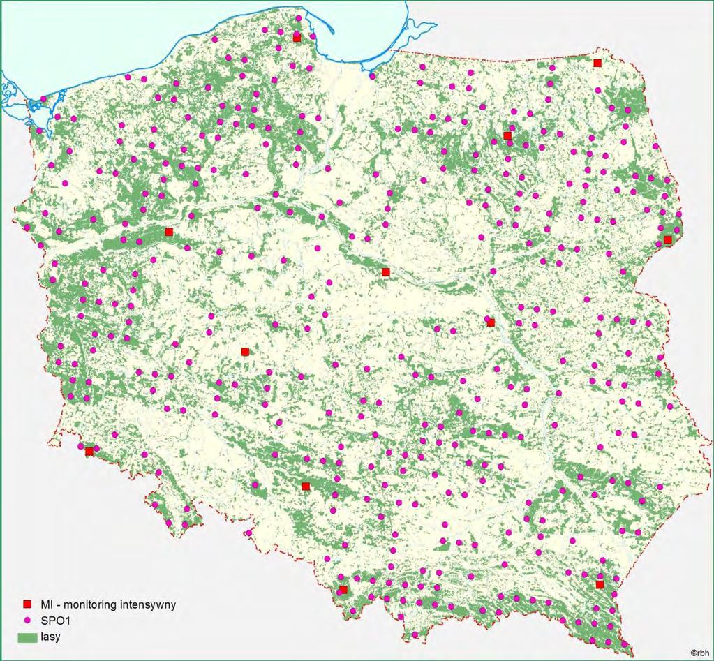 rzędu (SPO I rzędu) oraz powierzchni obserwacyjnych monitoringu intensywnego (IM1), na których wykonano badania i obserwacje w roku 2010 przedstawia rycina 1. Rycina 1.