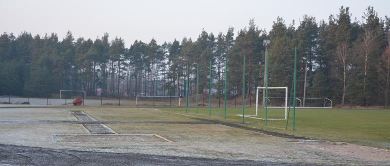 Skok w dal jest elementem sportowym składającym się z rozbiegu, odbicia oraz zeskoku. Po dokonaniu oględzin stwierdza się występowanie licznych nierówności oraz ubytku w warstwie zeskoku.