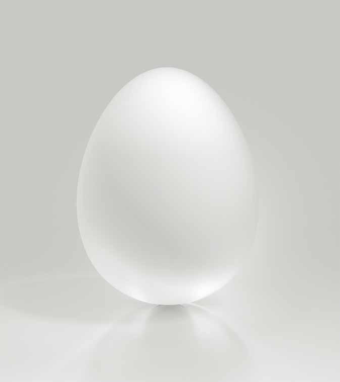 02 03 Przedsiębiorstwo Perfekcyjna konstrukcja.