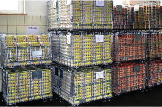 the PET preforms production plant PL: Systemy logistyczne