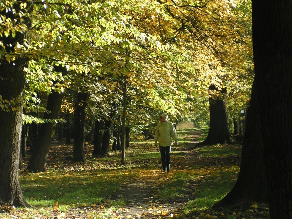 barwy jesieni (fot. E.Szopińska) Fot. 8.