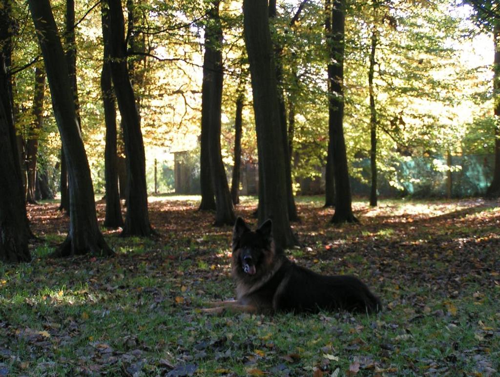 Fot. 9. Jesień 2016 r. Park Grabiszyński (fot.