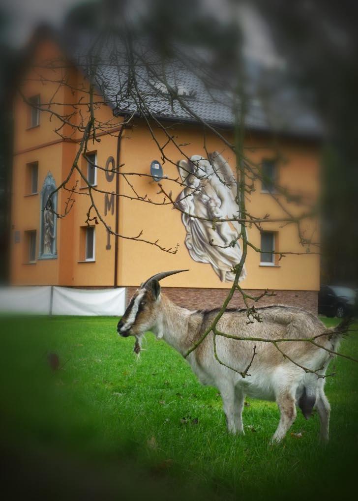 A już na pewno nie takich gości.