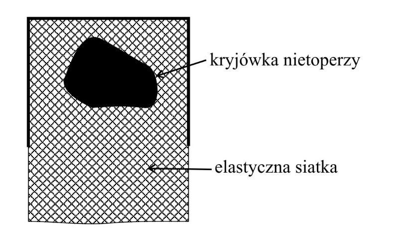 odpoczywających w szczelinach i szparach remontowanego budynku.