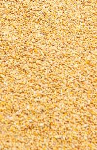 Środek grzybobójczy przeznaczony do zaprawiania ziarna zbóż, kukurydzy, nasion łubinu oraz grochu w zaprawiarkach przystosowanych do zapraw ciekłych i zawiesinowych.