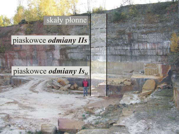 41 Fot. 7.3. Odmiany piaskowców wyróżnione w profilu wyrobiska złoża Wolica II Phot. 7.3. Varieties of sandstones distinguished in the profile of the Wolica II quarry lub słabą zwięzłość.