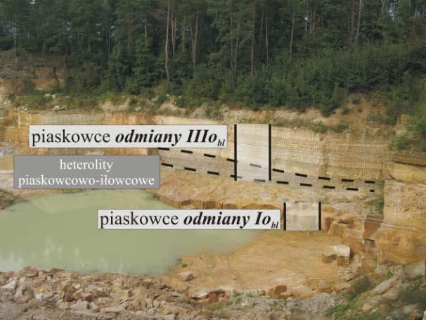 45 w wyrobisku profilu złożowego. Z dolnej i z górnej części ławicy pobrane zostały dwie próbki do badań laboratoryjnych (tab. 7.1).