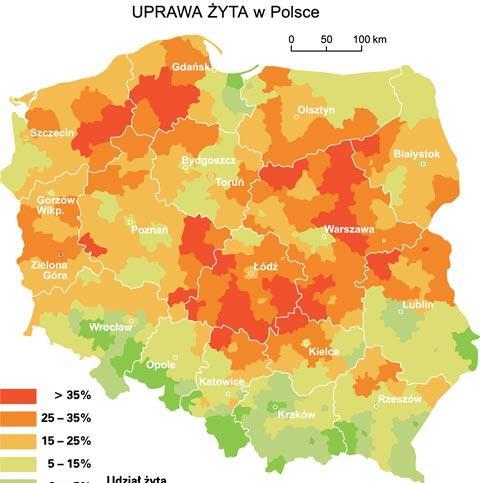 Paliwo do mikrosiłowni Słoma zbóż i rzepaku 5