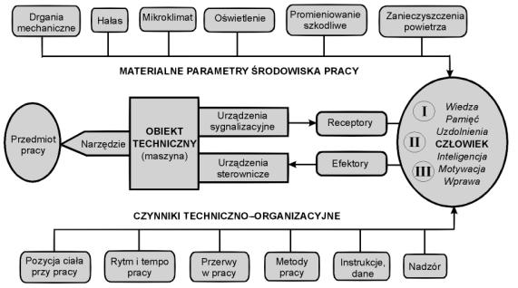 Ergon praca Nomos prawo naturalne Celem ergonomii jest kształtowanie warunków pracy niezbędnych do ochrony pracownika przed przedwczesną utratą sił biologicznych w następstwie pracy oraz warunków do
