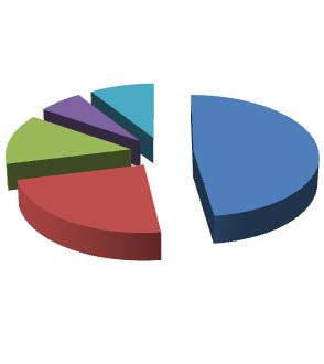W 2010 roku i latach następnych Zarząd przewiduje zwiększenie przychodów z tytuły opłat serwisowych (przychody od operatorów, którzy już zakupili produkty Emitenta), co w naturalny sposób przełoży