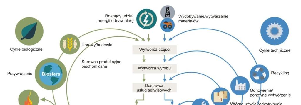 Wykres gospodarki obiegu zamkniętego W cyklach biologicznych nietoksyczne
