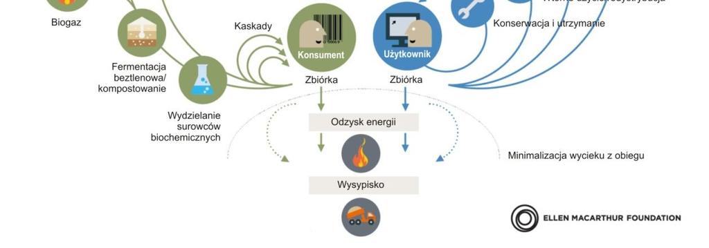 odbudowując tym samym kapitał przyrodniczy.