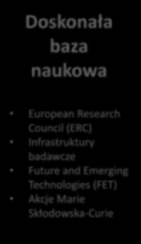 Doskonała baza naukowa European Research Council (ERC) Infrastruktury badawcze Future and Emerging Technologies (FET) Akcje Marie Skłodowska-Curie Wiodąca