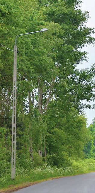 www.tuwiazowna.pl Samorząd 13 Nowe oświetlenie uliczne Do końca czerwca na terenie naszej gminy ustawione zostaną 82 nowe latarnie. Oświetlą w sumie 3,6 km dróg i poboczy.