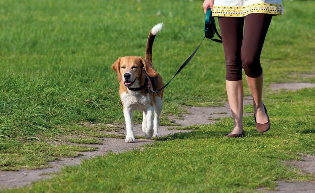 www.tuwiazowna.pl Środowisko 23 Pamiętaj o przestrze ganiu zasad Spaceruj z psem bezpiecznie Spacery z psami to jedne z przyjemniejszych zadań należących do właścicieli pupili.