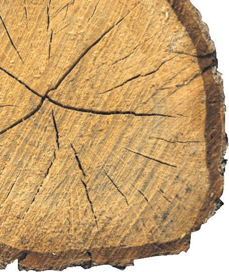 do kominka) lub jako młot do pobijania klinów 800mm SUS-2,0-800