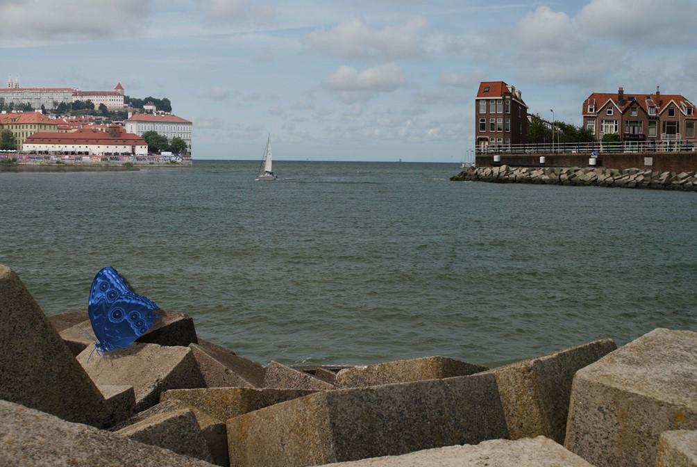 Fotomontaż Wykonaj cyfrowy fotomontaż zgodnie z wzorem (Rysunek 2). Przy tworzeniu fotomontażu wykonaj odbicie poziome fotografii z pliku do fotomontażu002.