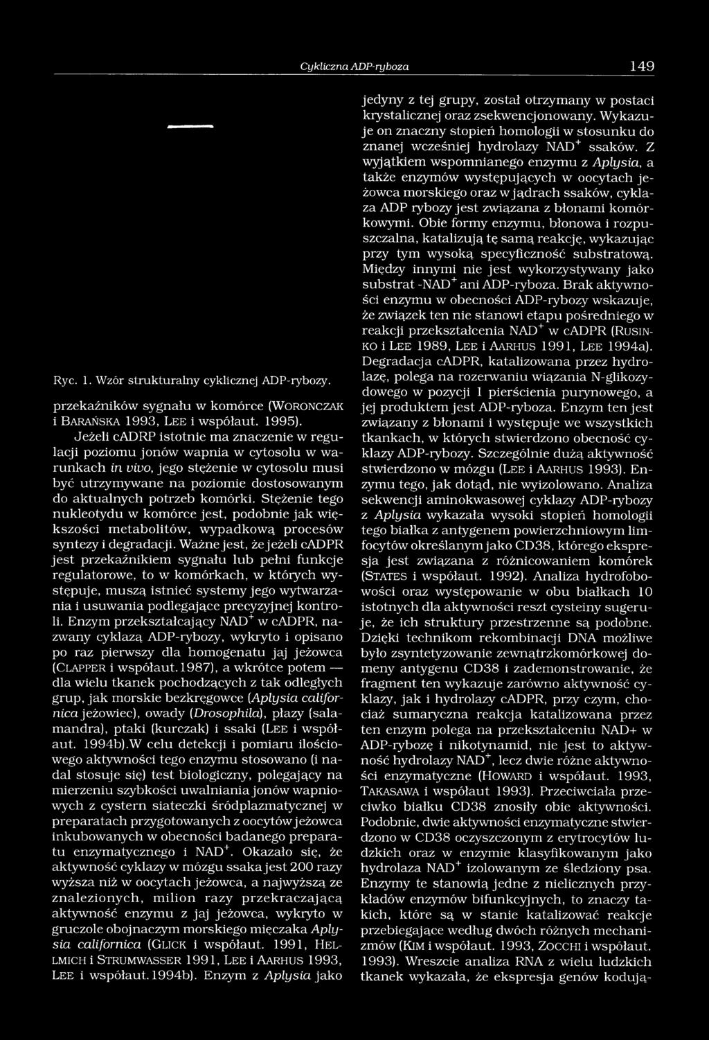 komórki. Stężenie tego nukleotydu w komórce jest, podobnie jak większości metabolitów, wypadkową procesów syntezy i degradacji.