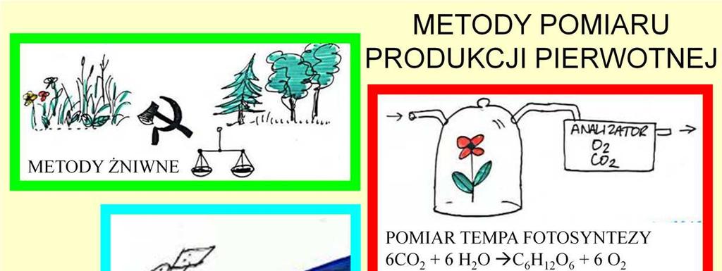 Dla zrozumienia zasad funkcjonowania Ŝywej biosfery w całości, a takŝe kaŝdego ekosystemu, fundamentalne znaczenie ma pomiar tempa produkcji pierwotnej, jest to bowiem parametr określający zasilanie