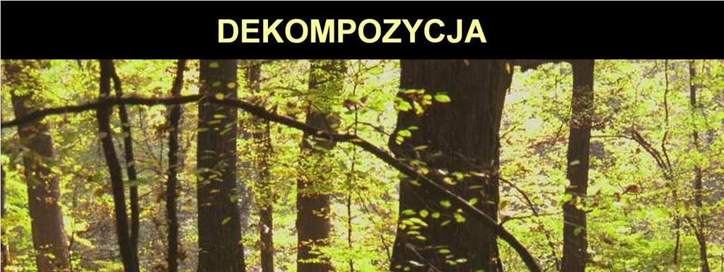 Rocznie biosfera wiąŝe w molekułach organicznych ponad 60