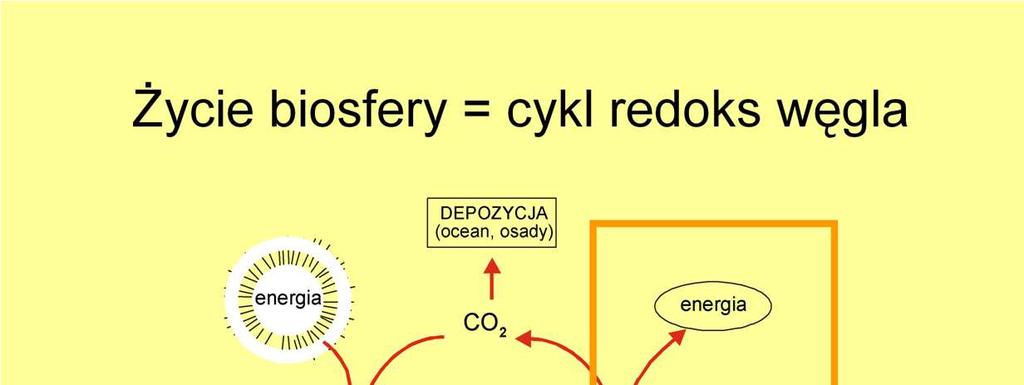 Utlenianie związków organicznych moŝe polegać na spalaniu płomieniem jest to proces spontaniczny, często