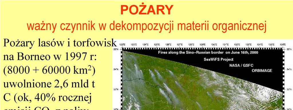 PoŜary występują w wielu miejscach na świecie, np, na afrykańskiej sawannie w lasach borealnych (tajgowych) i w torfowiskach, Niektóre gatunki roślin przystosowały się juŝ do tego, i np, niektóre