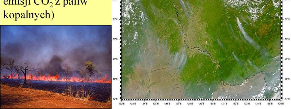 torfowisk na Borneo (1997)) uwolnił do atmosfery 2,6 mln ton CO 2, co stanowi 40% emisji CO 2 z paliw kopalnych, Naturalne poŝary zdarzają się często, i nie zastają nagromadzonej duŝej ilości