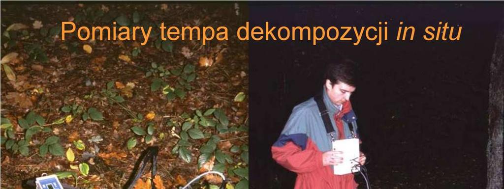 Dla oszacowania ilościowego tempa obiegu węgla (zbilansowania cyklu produkcji i dekompozycji) konieczny jest pomiar tempa dekompozycji, MoŜna to robić bezpośrednio w
