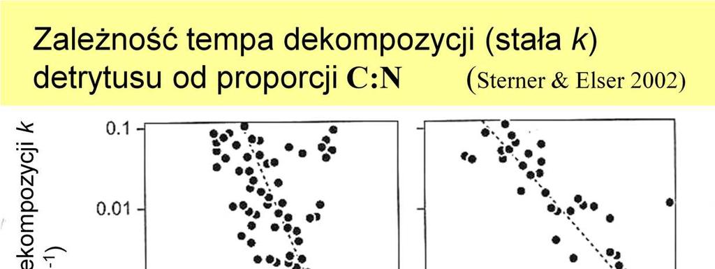 Zabezpieczenie liści przez zdekomponowaniem przez mikroorganizmy (jak w poprzednich przykładach) to nie wszystko, Pamiętać trzeba, Ŝe istotą procesu dekompozycji nie jest sam rozkład materii