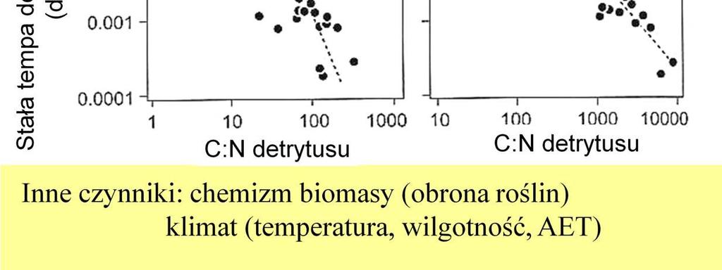 materii organicznej sprzyja jej odpowiedni skład chemiczny, zapewniający obecność wszystkich potrzebnych pierwiastków w odpowiednich proporcjach, PoniewaŜ jednym z waŝnych składników biomasy