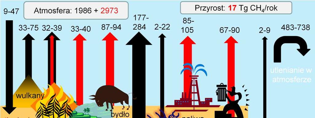 Schemat globalnego cyklu metanu (oparty o najnowszy raport ICPP, 2013), Przepływy podano w teragramach (Tg = mln ton) metanu na rok, Do atmosfery kaŝdego roku dociera 177-284 Tg metanu z mokradeł,