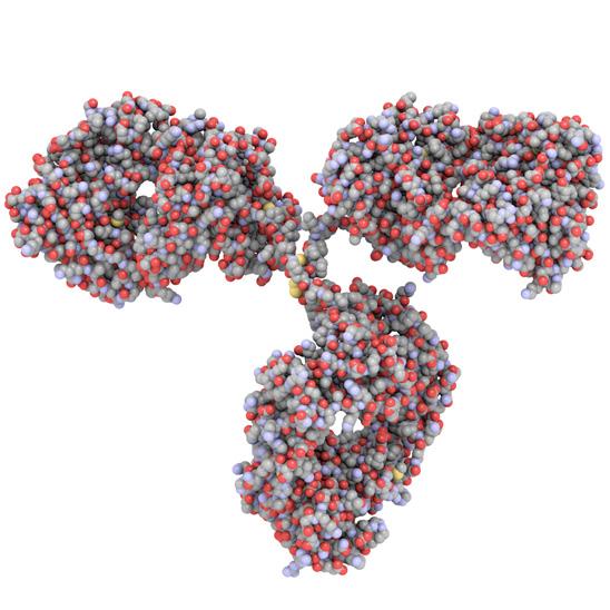 (ryc. 1). Ścisła kontrola wytwarzania leków biologicznych komórkowe i technologię rekombinacji DNA.