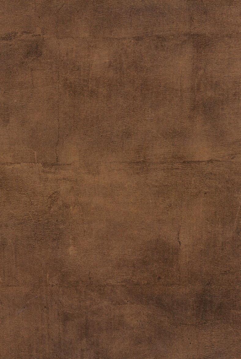Biały Arktyczny 040 Biały Metalik 10R Szary Naturalny U12 Szary Tormenta 09F Szary GU 71A POLYGLOSS Fronty połyskowe,