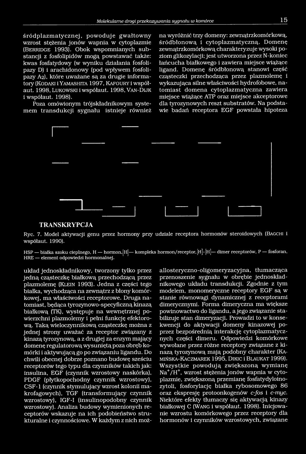 informatory (K o d a k i i Y a m a s h it a 1997, K a f o u r y i współaut. 1998, Ł u k o w s k i i współaut. 1998, V a n -D ij k i współaut. 1998).