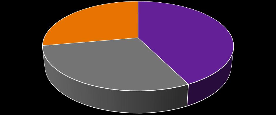 STAN ISTNIEJĄCY DK8 struktura ruchu. Magnice k. Granica Magnice k. Wrocław 14% 14% 29% 57% 29% 57% Dolnośląskie Polska - reszta kraju Zagranica Kudowa-Zdrój k.