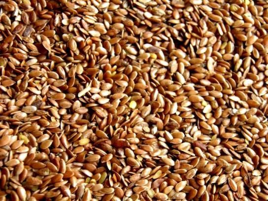 Siemię lniane (Linum usitatissimum) Jeśli ktoś się sparzył, to niech mocno wygotuje w wodzie siemię lniane, odcedzi nasiona, zamoczy w tej wodzie lnianą chusteczkę i położy ją, jeszcze ciepłą, na