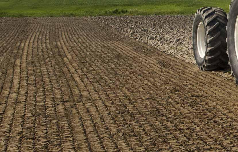 Konstrukcja stała (do 200 KM) DOMINATOR DM 3000 DOMINATOR DM RAPIDO DOMINATOR to brona o wyższej wydajności, w której zainstalowane są solidniejsze wały nożowe i noże dłuższe w
