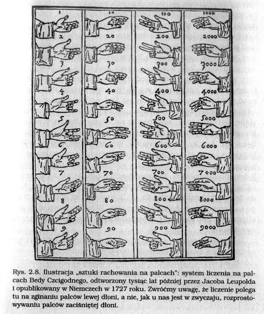 Obliczanie intuicje Liczenie na paluszkach Jerzy Pogonowski