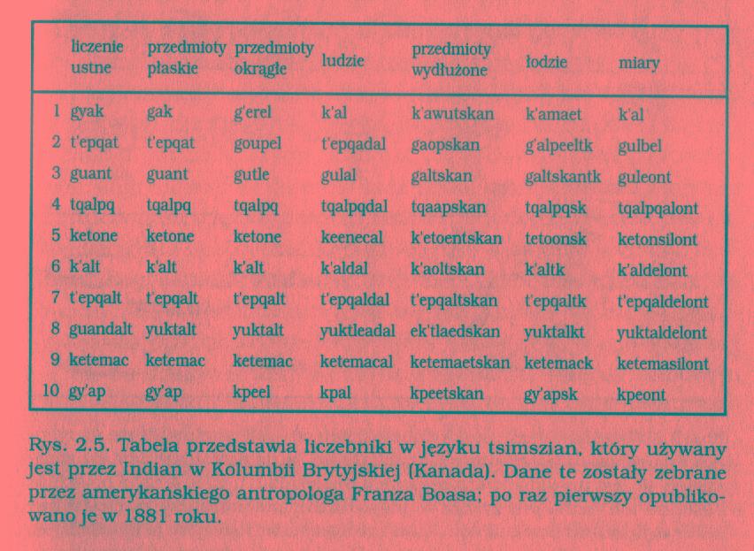 Obliczanie intuicje Liczenie w j zyku z klasykatorami Jerzy