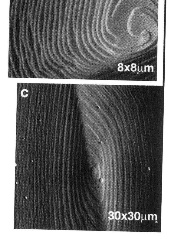 , w: Advances in Crystal Growth,